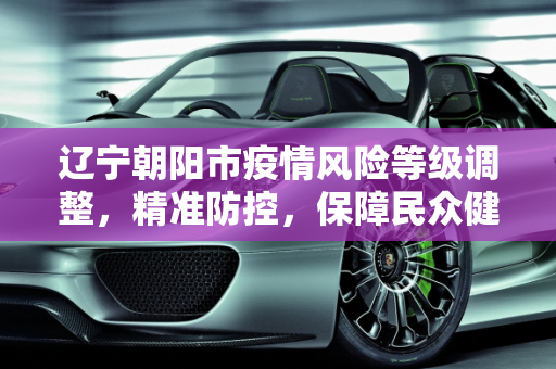 辽宁朝阳市疫情风险等级调整，精准防控，保障民众健康,辽宁朝阳调整风险等级