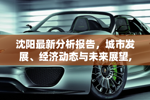 沈阳最新分析报告，城市发展、经济动态与未来展望,沈阳最新分析报告