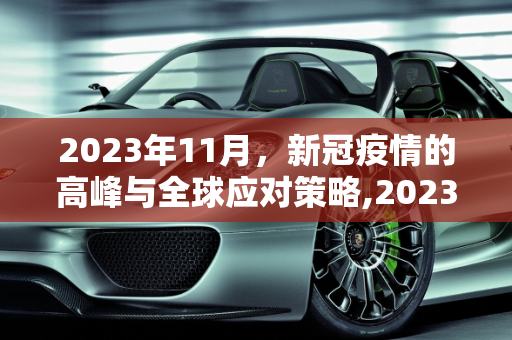 2023年11月，新冠疫情的高峰与全球应对策略,2023年11月新冠高峰