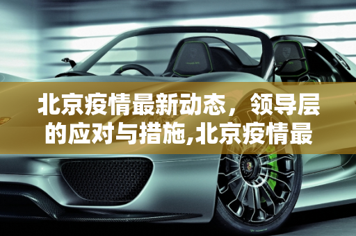 北京疫情最新动态，领导层的应对与措施,北京疫情最新领导