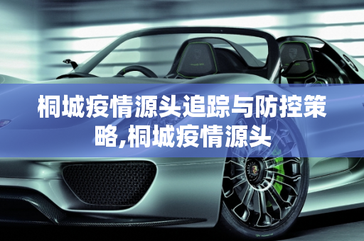 桐城疫情源头追踪与防控策略,桐城疫情源头