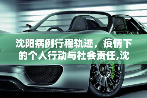 沈阳病例行程轨迹，疫情下的个人行动与社会责任,沈阳病例行程轨迹