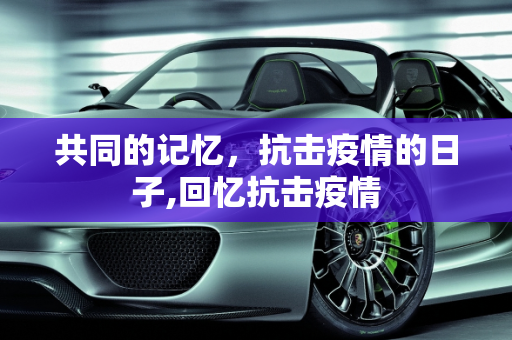 共同的记忆，抗击疫情的日子,回忆抗击疫情