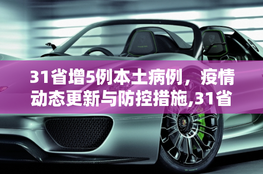 31省增5例本土病例，疫情动态更新与防控措施,31省增5例本土病例