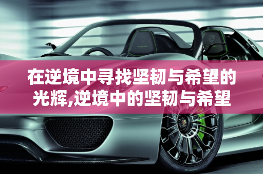 在逆境中寻找坚韧与希望的光辉,逆境中的坚韧与希望