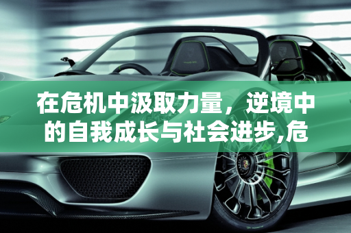 在危机中汲取力量，逆境中的自我成长与社会进步,危机中汲取力量
