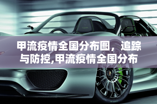 甲流疫情全国分布图，追踪与防控,甲流疫情全国分布图