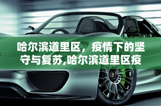 哈尔滨道里区，疫情下的坚守与复苏,哈尔滨道里区疫情