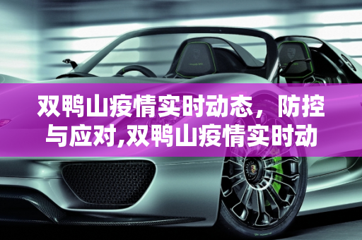 双鸭山疫情实时动态，防控与应对,双鸭山疫情实时动态