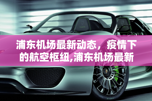 浦东机场最新动态，疫情下的航空枢纽,浦东机场最新动疫情