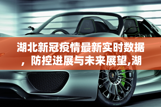 湖北新冠疫情最新实时数据，防控进展与未来展望,湖北新冠疫情最新实时数据