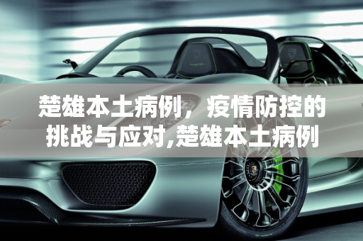楚雄本土病例，疫情防控的挑战与应对,楚雄本土病例