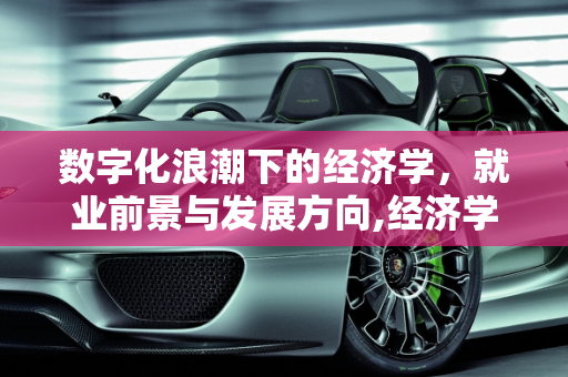 数字化浪潮下的经济学，就业前景与发展方向,经济学数字化方向就业前景