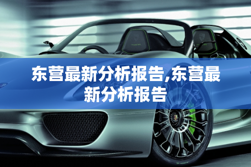 东营最新分析报告,东营最新分析报告