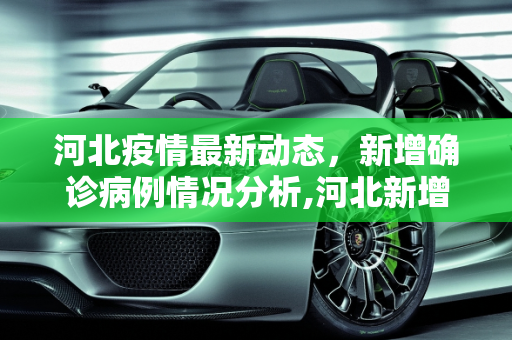 河北疫情最新动态，新增确诊病例情况分析,河北新增确诊病例