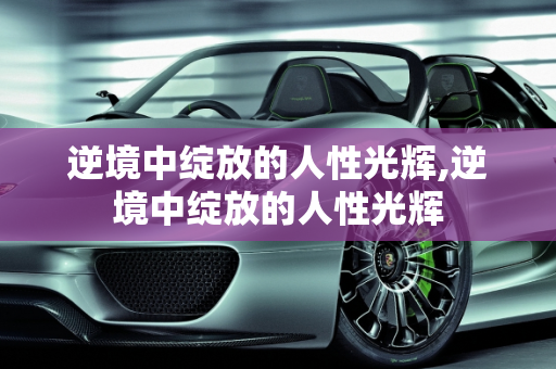 逆境中绽放的人性光辉,逆境中绽放的人性光辉