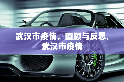 武汉市疫情，回顾与反思,武汉市疫情
