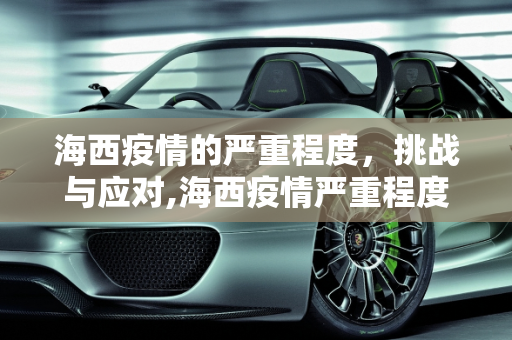海西疫情的严重程度，挑战与应对,海西疫情严重程度