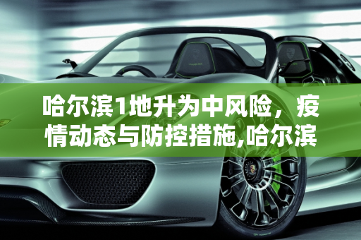 哈尔滨1地升为中风险，疫情动态与防控措施,哈尔滨1地升为中风险