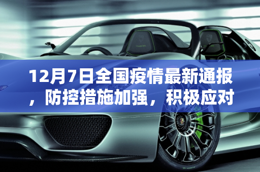 第319页