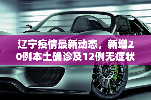 辽宁疫情最新动态，新增20例本土确诊及12例无症状感染者,辽宁新增20例本土确诊12例无症状
