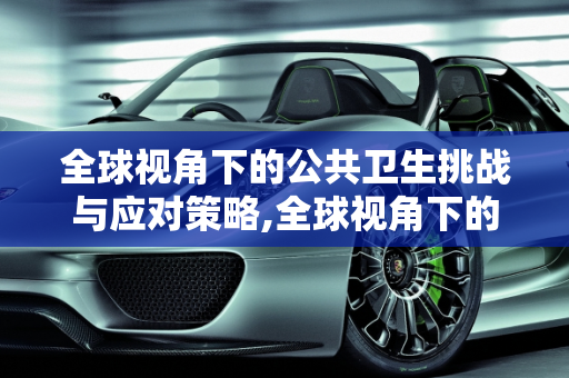 全球视角下的公共卫生挑战与应对策略,全球视角下的公共卫生挑战与应对策略