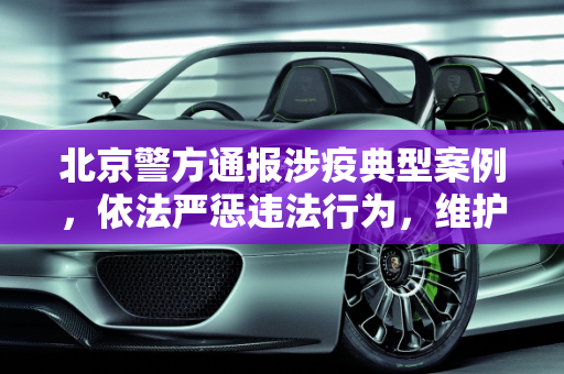 北京警方通报涉疫典型案例，依法严惩违法行为，维护社会秩序,北京警方通报涉疫典型案例