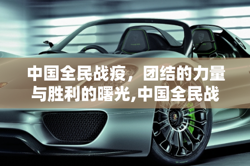 中国全民战疫，团结的力量与胜利的曙光,中国全民战疫