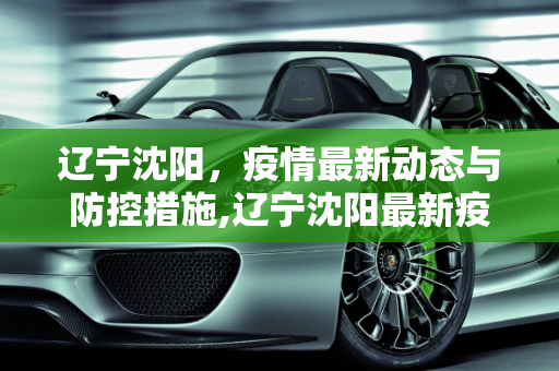 辽宁沈阳，疫情最新动态与防控措施,辽宁沈阳最新疫情