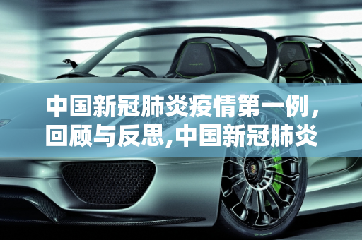 中国新冠肺炎疫情第一例，回顾与反思,中国新冠肺炎疫情第一例