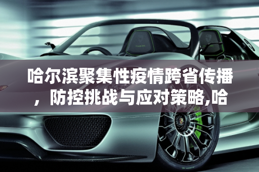 第312页