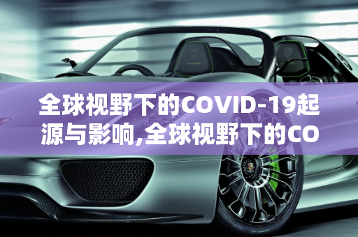 全球视野下的COVID-19起源与影响,全球视野下的COVID19起源与影响