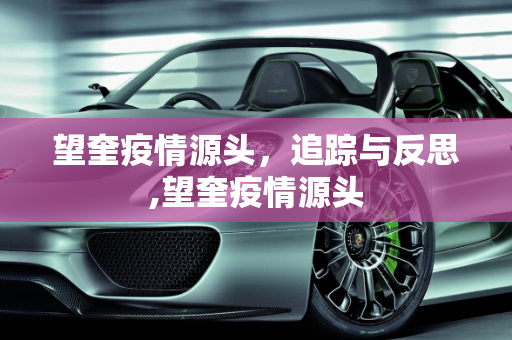 望奎疫情源头，追踪与反思,望奎疫情源头