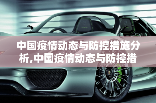 中国疫情动态与防控措施分析,中国疫情动态与防控措施分析