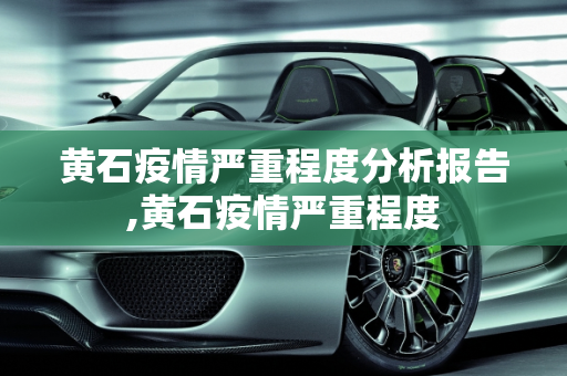 黄石疫情严重程度分析报告,黄石疫情严重程度