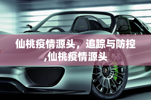 仙桃疫情源头，追踪与防控,仙桃疫情源头