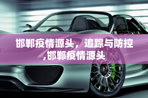 邯郸疫情源头，追踪与防控,邯郸疫情源头