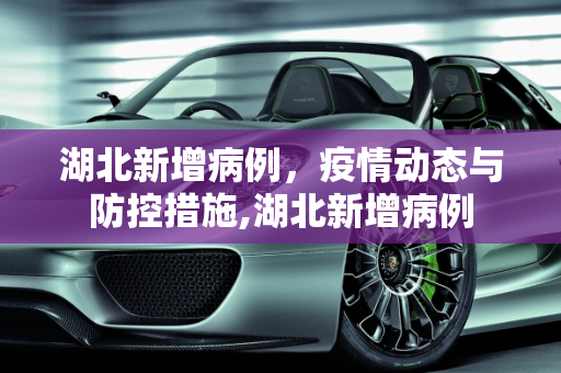 湖北新增病例，疫情动态与防控措施,湖北新增病例