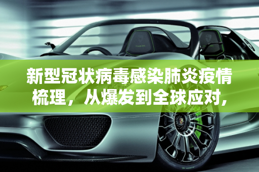新型冠状病毒感染肺炎疫情梳理，从爆发到全球应对,新型冠状病毒感染肺炎疫情梳理
