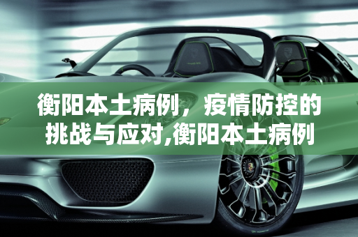 衡阳本土病例，疫情防控的挑战与应对,衡阳本土病例