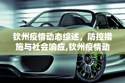 钦州疫情动态综述，防控措施与社会响应,钦州疫情动态综述