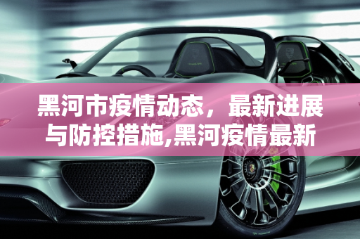 黑河市疫情动态，最新进展与防控措施,黑河疫情最新消息