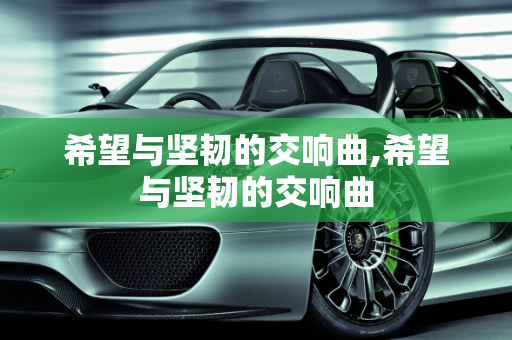 希望与坚韧的交响曲,希望与坚韧的交响曲