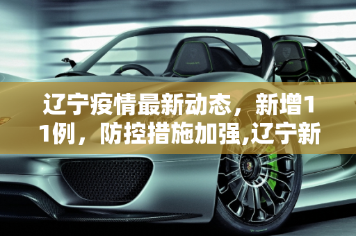 辽宁疫情最新动态，新增11例，防控措施加强,辽宁新增11例