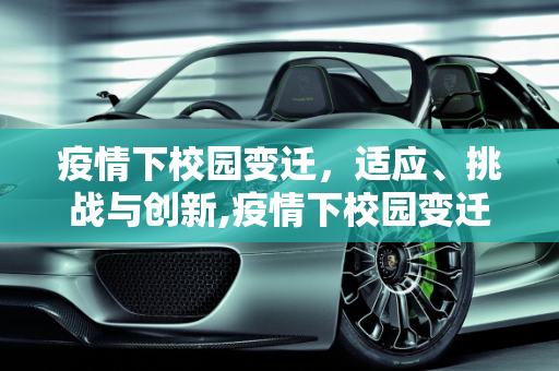 疫情下校园变迁，适应、挑战与创新,疫情下校园变迁