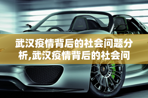 武汉疫情背后的社会问题分析,武汉疫情背后的社会问题分析