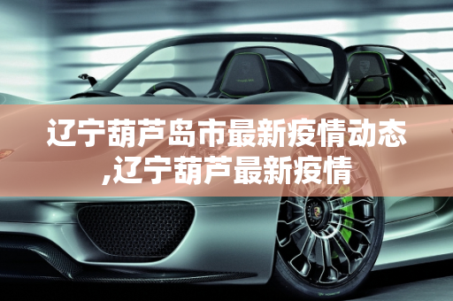 辽宁葫芦岛市最新疫情动态,辽宁葫芦最新疫情