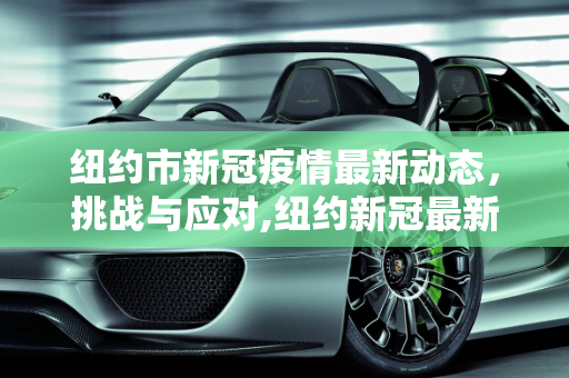 纽约市新冠疫情最新动态，挑战与应对,纽约新冠最新疫情