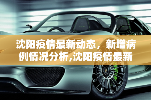 沈阳疫情最新动态，新增病例情况分析,沈阳疫情最新新增病例