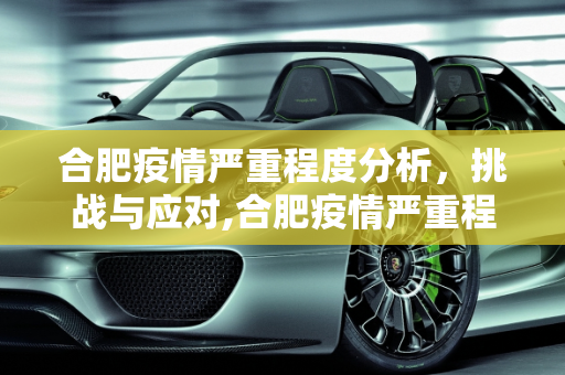 合肥疫情严重程度分析，挑战与应对,合肥疫情严重程度